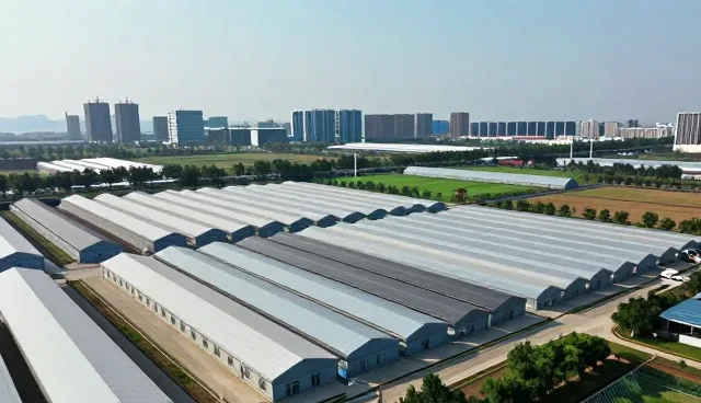 网站维护中的安全防护关键点解析
